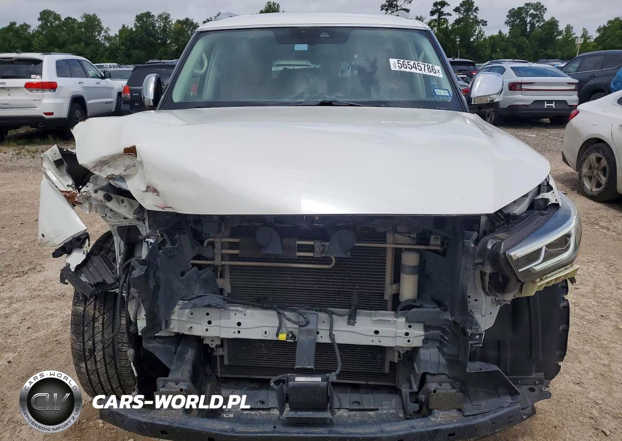 2019 Infiniti Qx80 Luxe VIN:JN8AZ2NE7K9231507 - 5