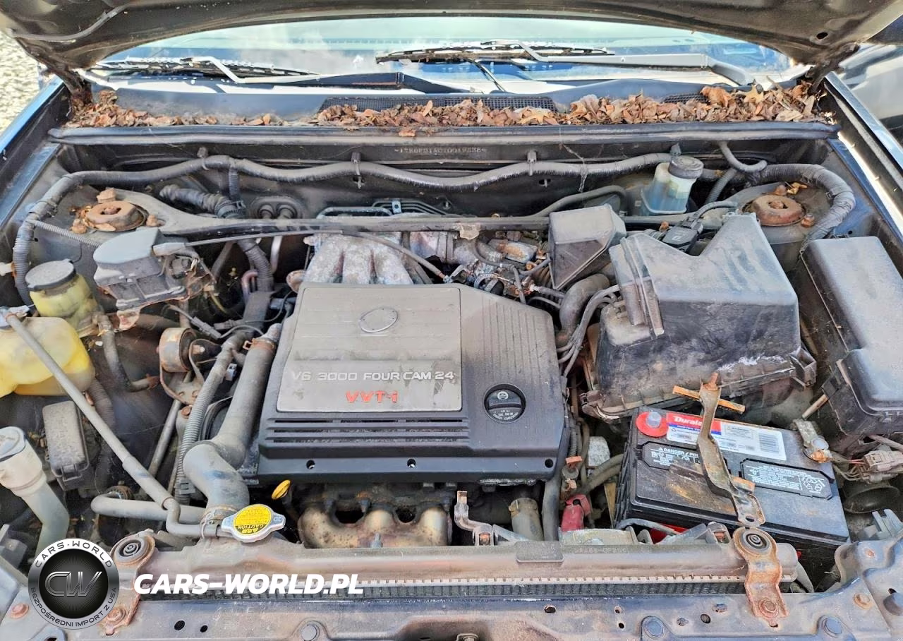 2001 Toyota Highlander Base VIN:JTEGF21A010019838 - 12