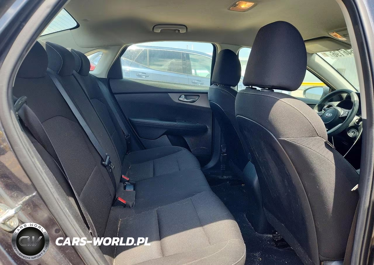 2019 Kia Forte Lxs VIN:3KPF24AD5KE120920 - 10