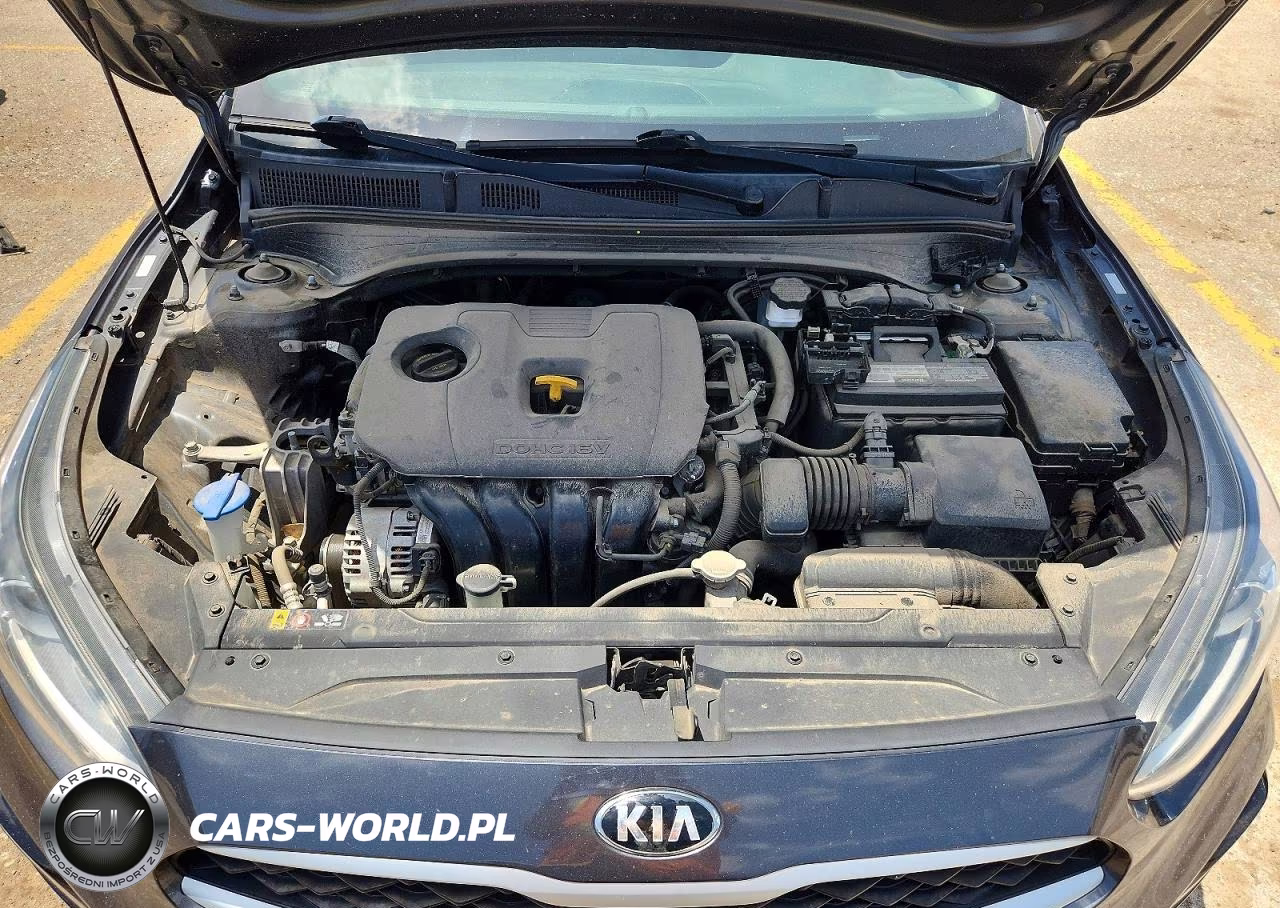 2019 Kia Forte Lxs VIN:3KPF24AD5KE120920 - 11