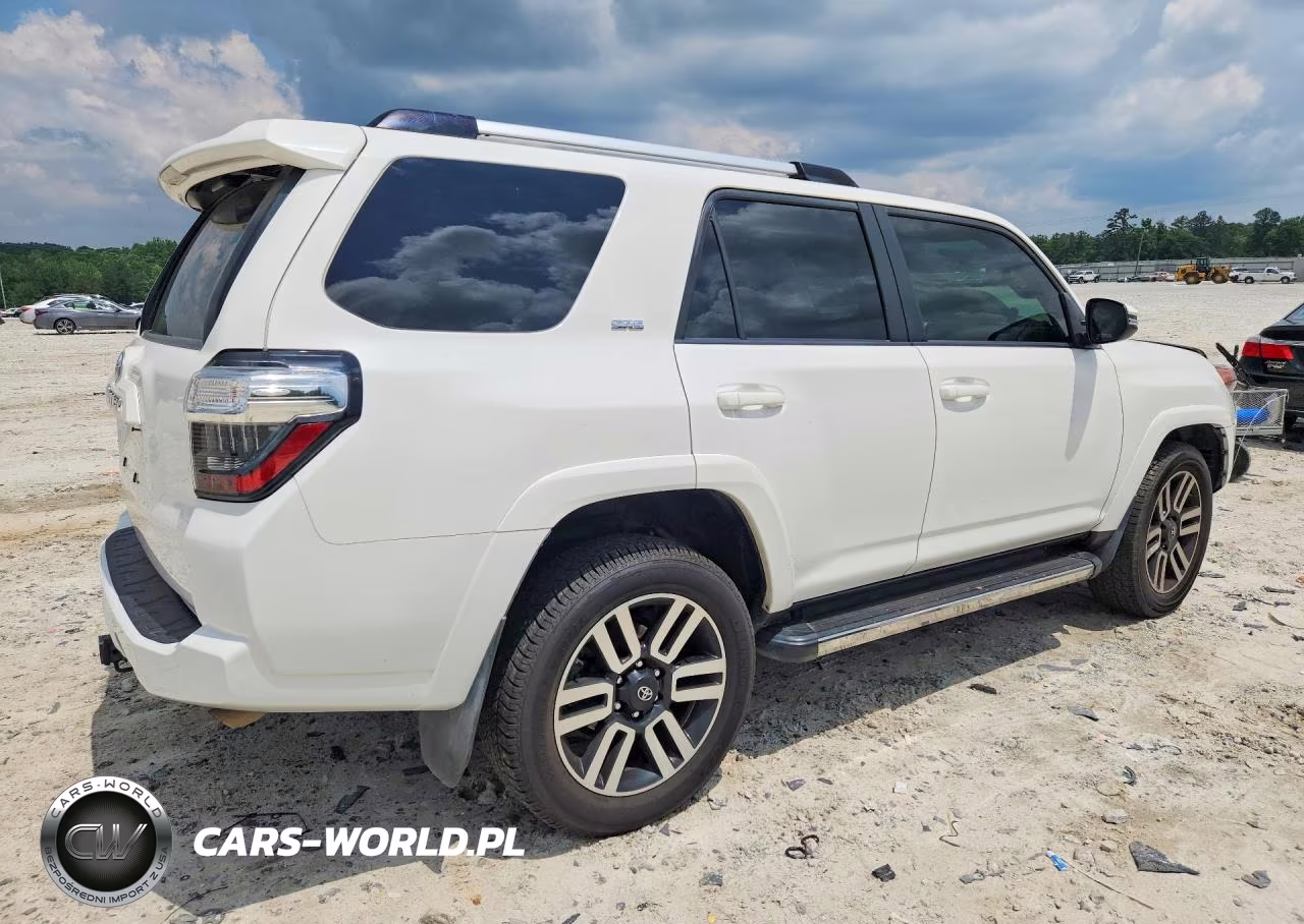 2019 Toyota 4Runner Sr5 Premium VIN:JTEZU5JR6K5201473 - 3