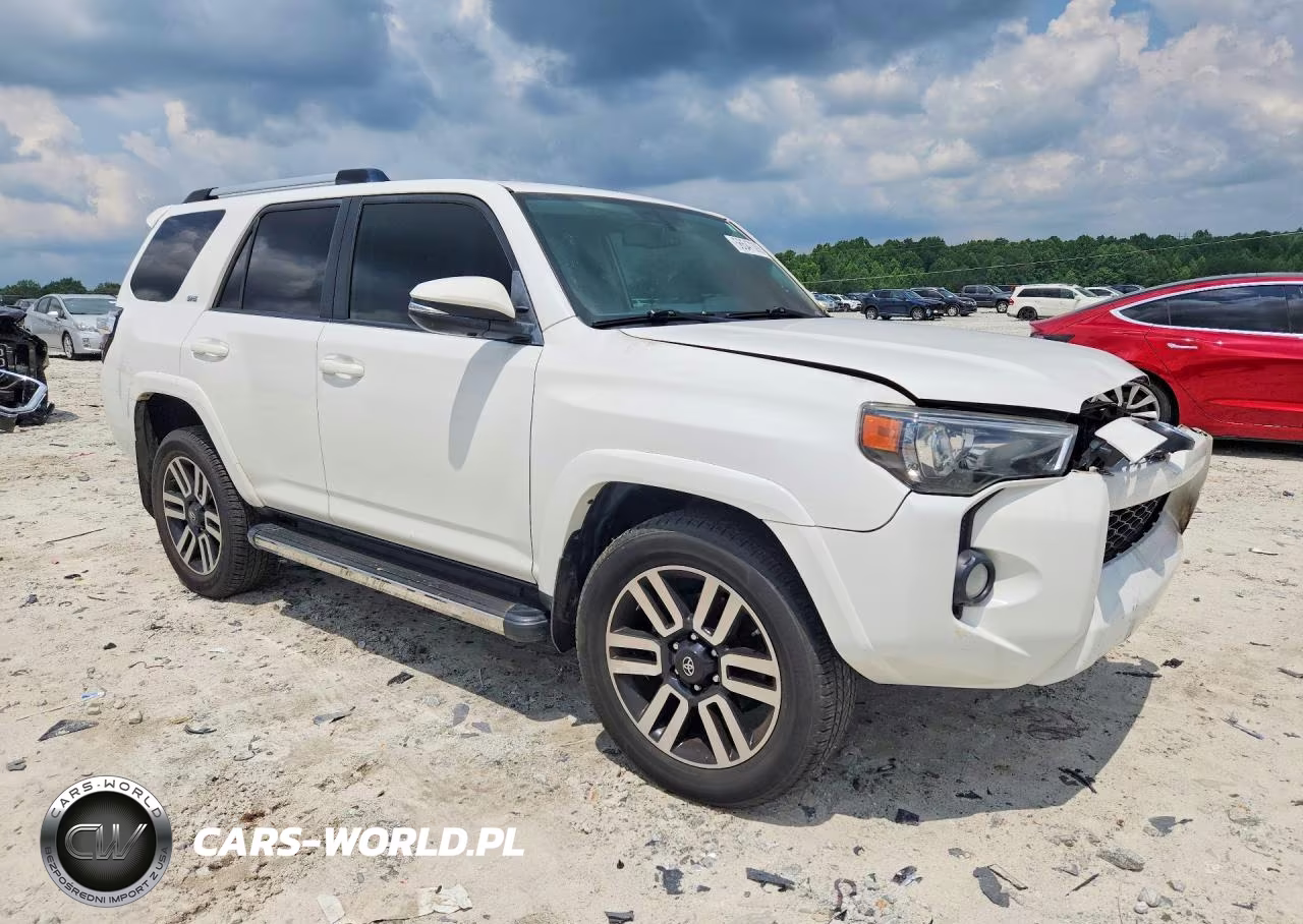 2019 Toyota 4Runner Sr5 Premium VIN:JTEZU5JR6K5201473 - 4
