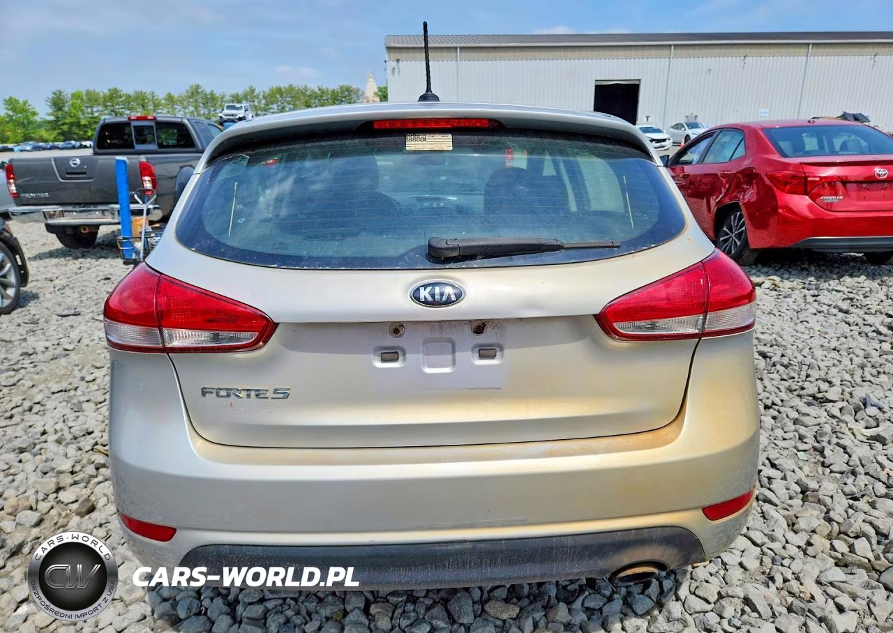 2016 Kia Forte Lx VIN:KNAFK5A84G5525093 - 6