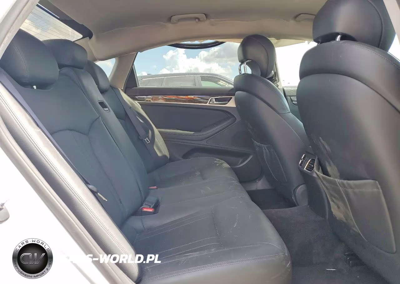 2015 Hyundai Genesis 3.8L VIN:KMHGN4JE9FU095303 - 10