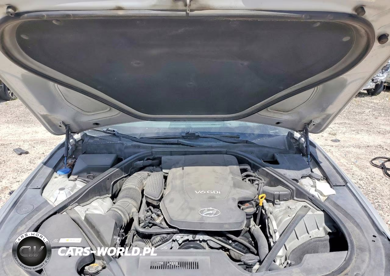 2015 Hyundai Genesis 3.8L VIN:KMHGN4JE9FU095303 - 11