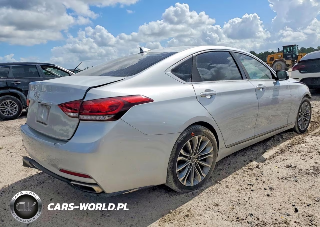 2015 Hyundai Genesis 3.8L VIN:KMHGN4JE9FU095303 - 3