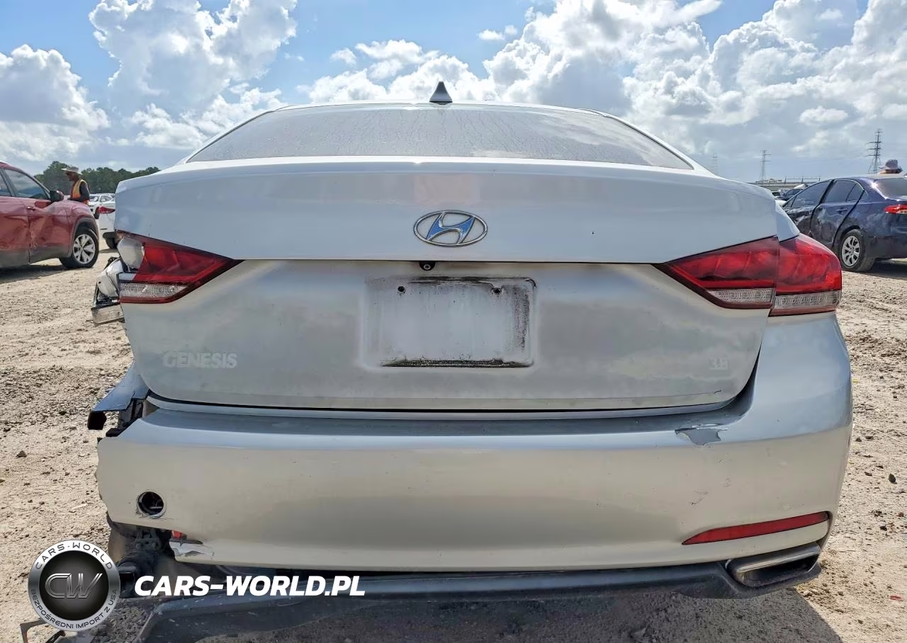 2015 Hyundai Genesis 3.8L VIN:KMHGN4JE9FU095303 - 6