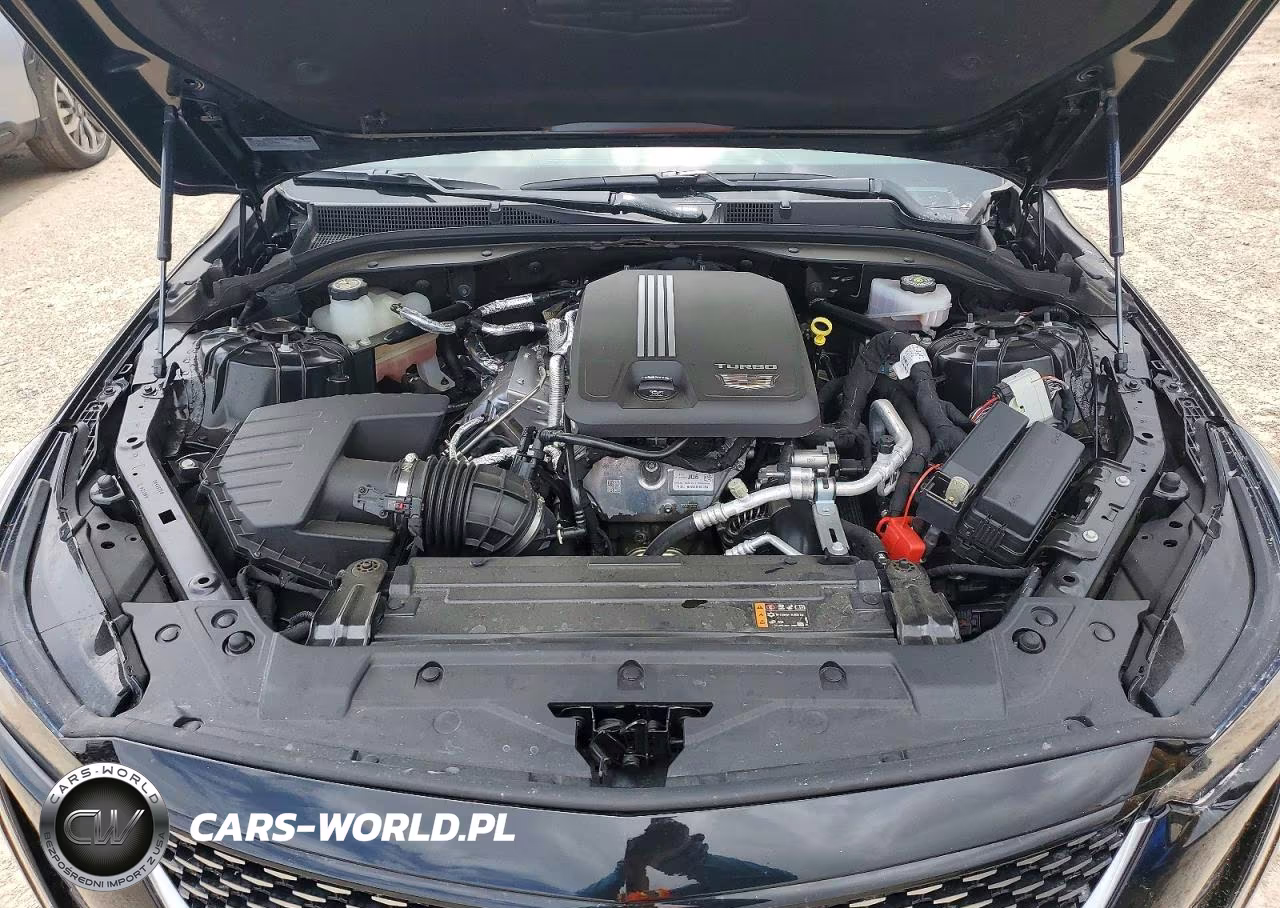 2023 Cadillac Ct5 Premium Luxury VIN:1G6DN5RK3P0144868 - 12