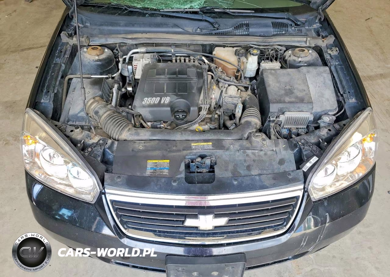 2006 Chevrolet Malibu Lt VIN:1G1ZT53816F262511 - 11