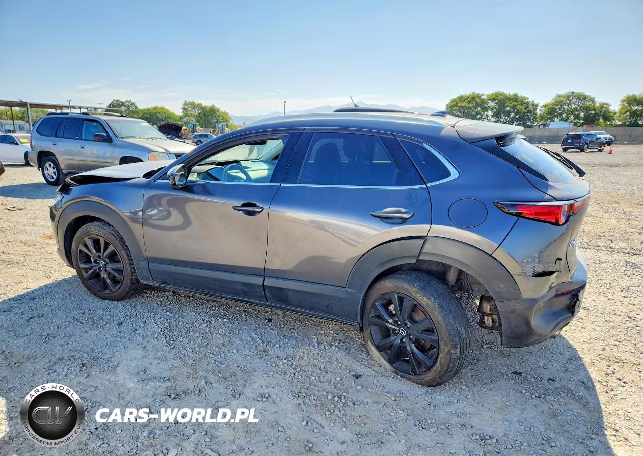 2021 Mazda Cx-30 Premium Plus VIN:3MVDMBEYXMM234096 - 2