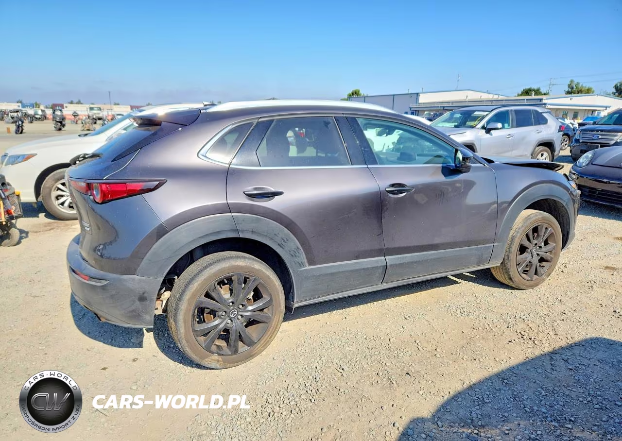 2021 Mazda Cx-30 Premium Plus VIN:3MVDMBEYXMM234096 - 3