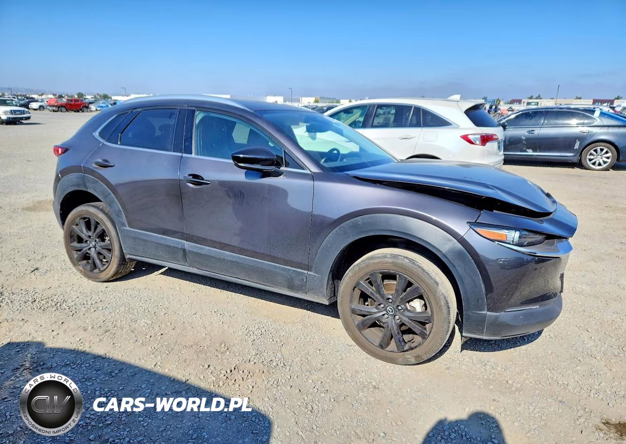 2021 Mazda Cx-30 Premium Plus VIN:3MVDMBEYXMM234096 - 4
