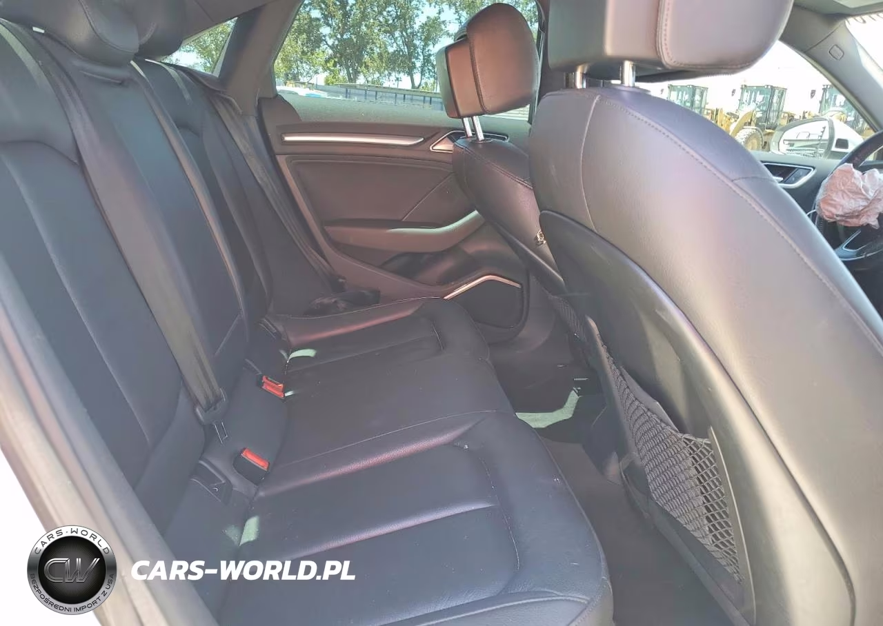 2017 Audi A3 Premium Plus VIN:WAUGUGFF9H1030933 - 10