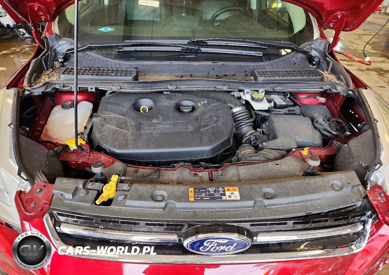 2015 Ford Escape Titanium VIN:1FMCU9J93FUA78952 - 12