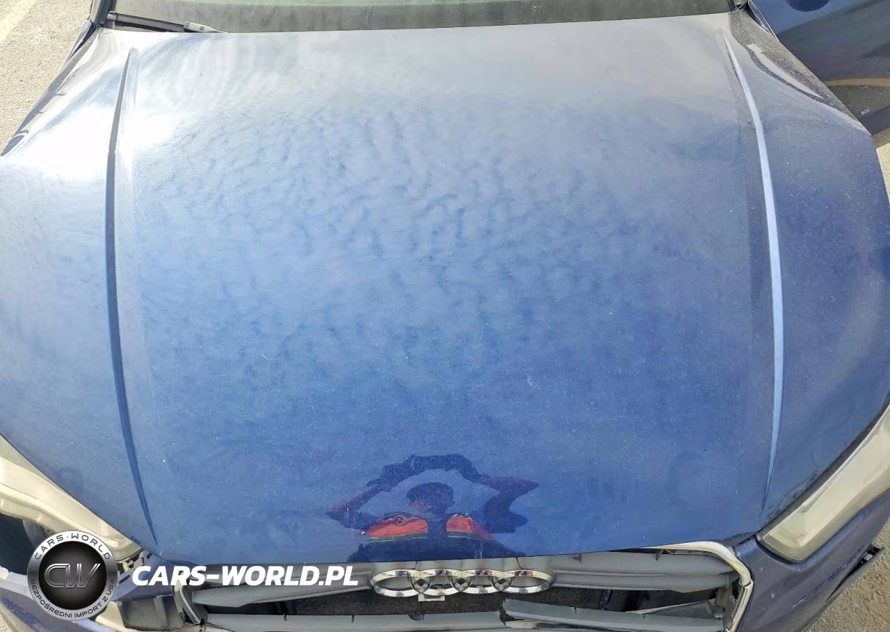 2015 Audi A3 Premium VIN:WAUACGFF3F1099719 - 11