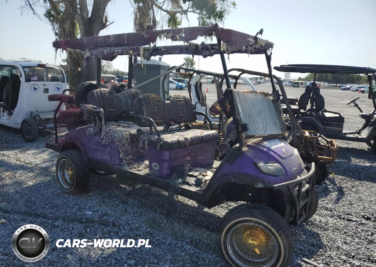 2022 Other Motorcycle Golf Cart