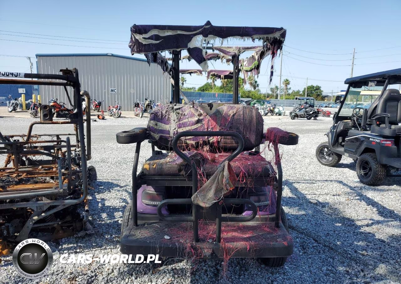 2022 Other Motorcycle Golf Cart VIN:FLA118466 - 10