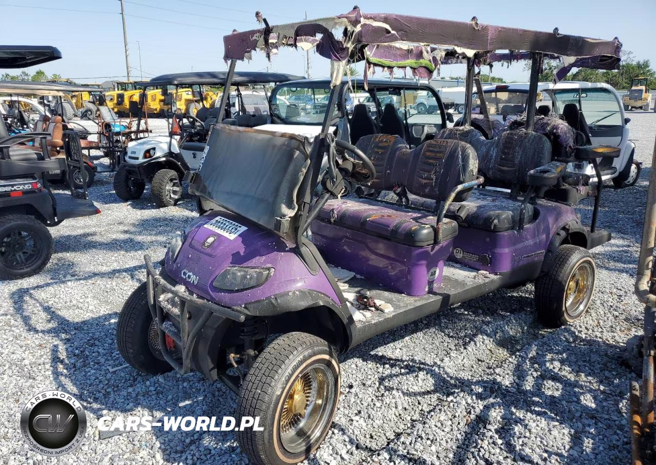 2022 Other Motorcycle Golf Cart VIN:FLA118466 - 3
