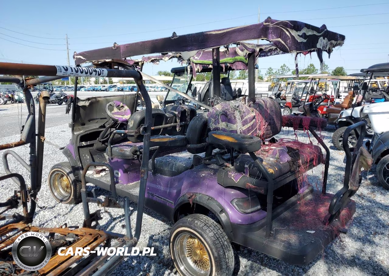 2022 Other Motorcycle Golf Cart VIN:FLA118466 - 4