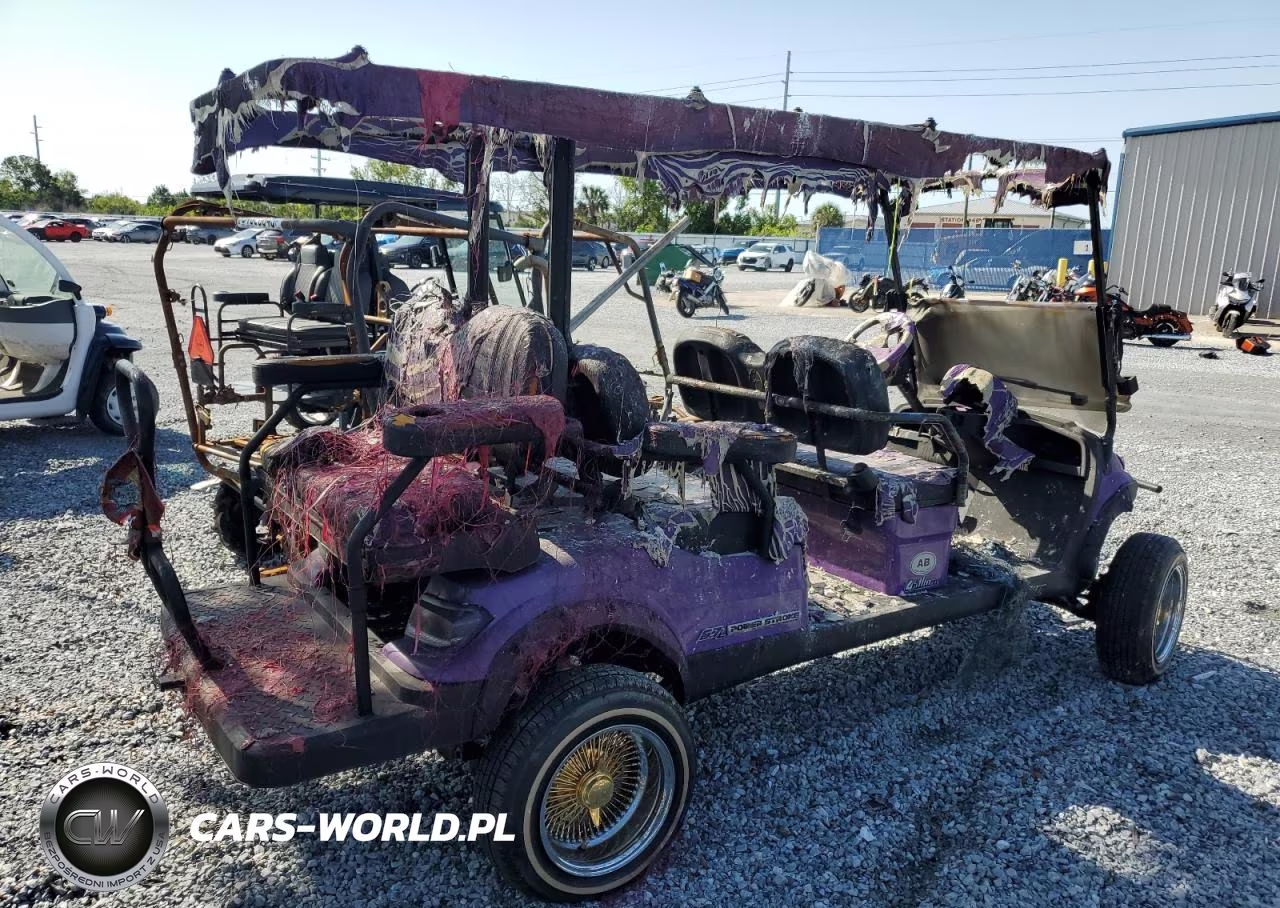 2022 Other Motorcycle Golf Cart VIN:FLA118466 - 5