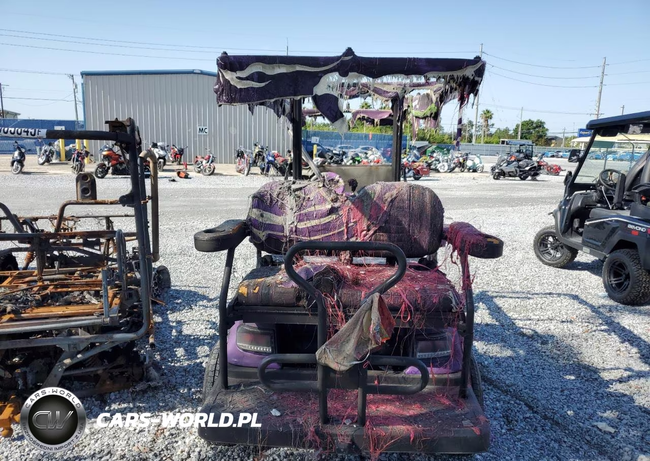 2022 Other Motorcycle Golf Cart VIN:FLA118466 - 6