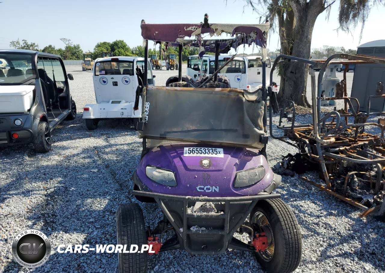 2022 Other Motorcycle Golf Cart VIN:FLA118466 - 9