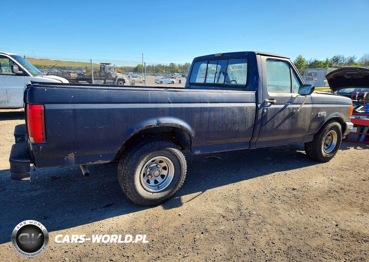 1991 Ford F-150 VIN:1FTDF15Y5MNA81929 - 3