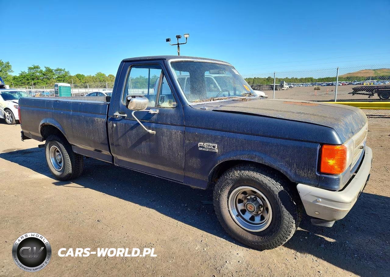 1991 Ford F-150 VIN:1FTDF15Y5MNA81929 - 4