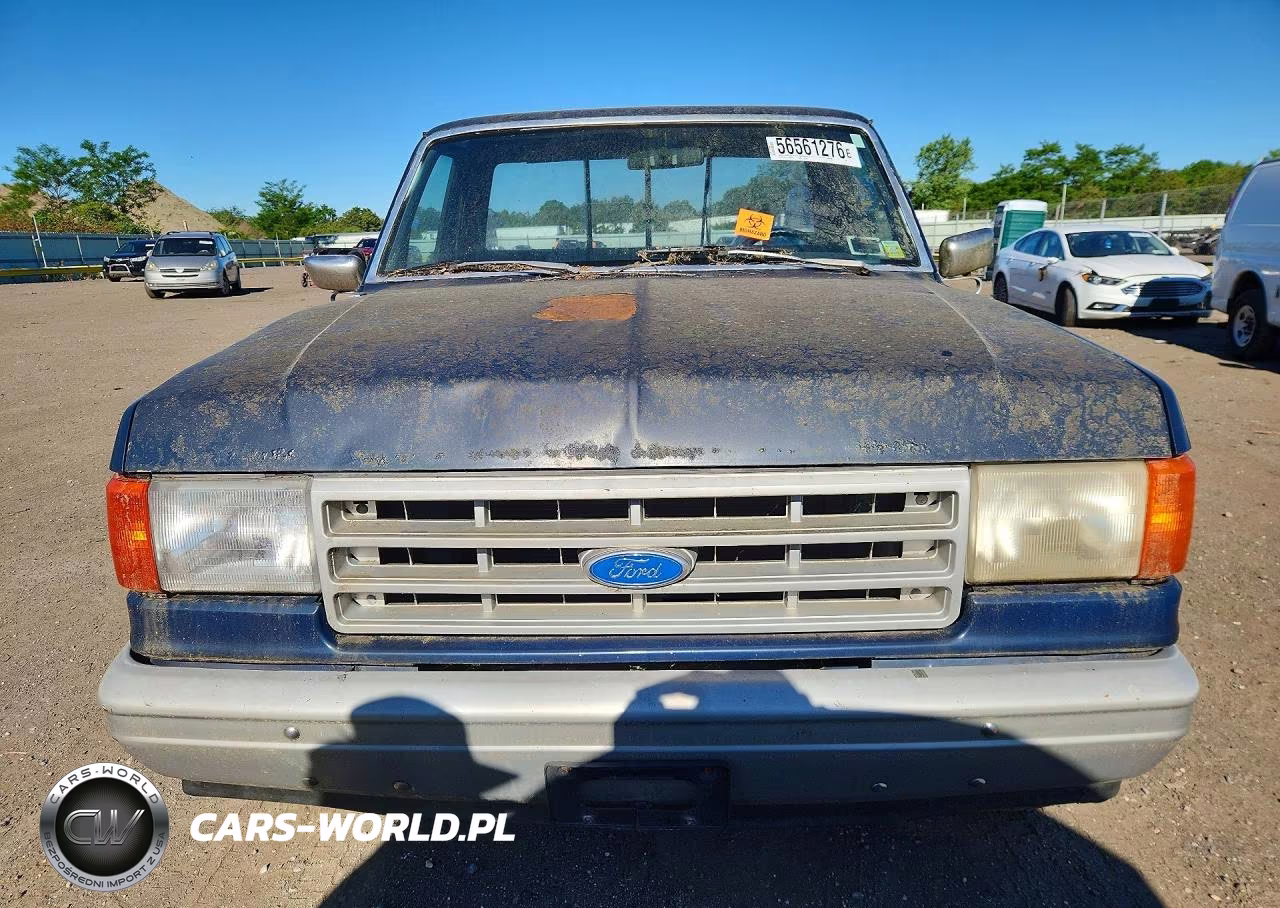 1991 Ford F-150 VIN:1FTDF15Y5MNA81929 - 5