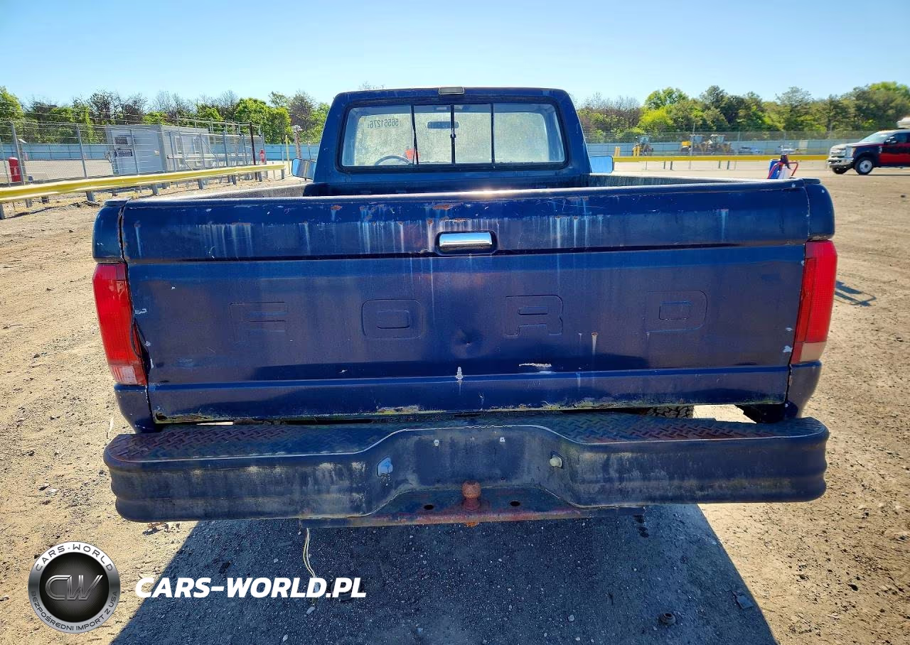 1991 Ford F-150 VIN:1FTDF15Y5MNA81929 - 6