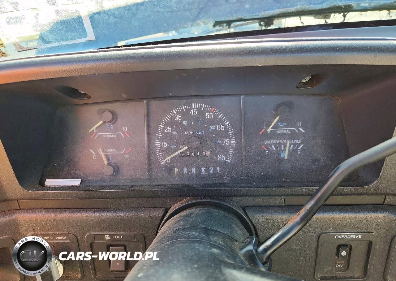 1991 Ford F-150 VIN:1FTDF15Y5MNA81929 - 9