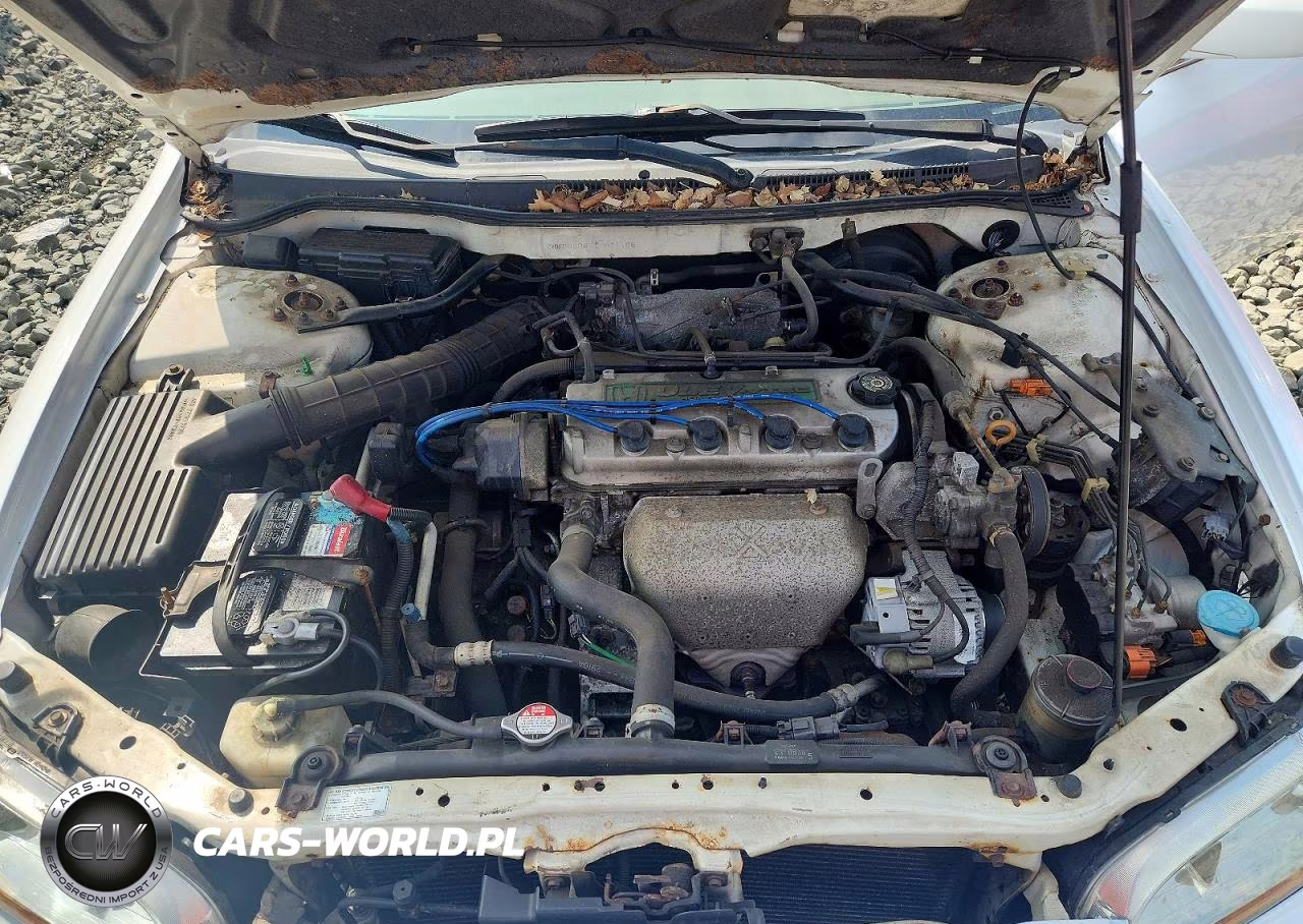 2001 Honda Accord Ex VIN:JHMCG668X1C021106 - 11