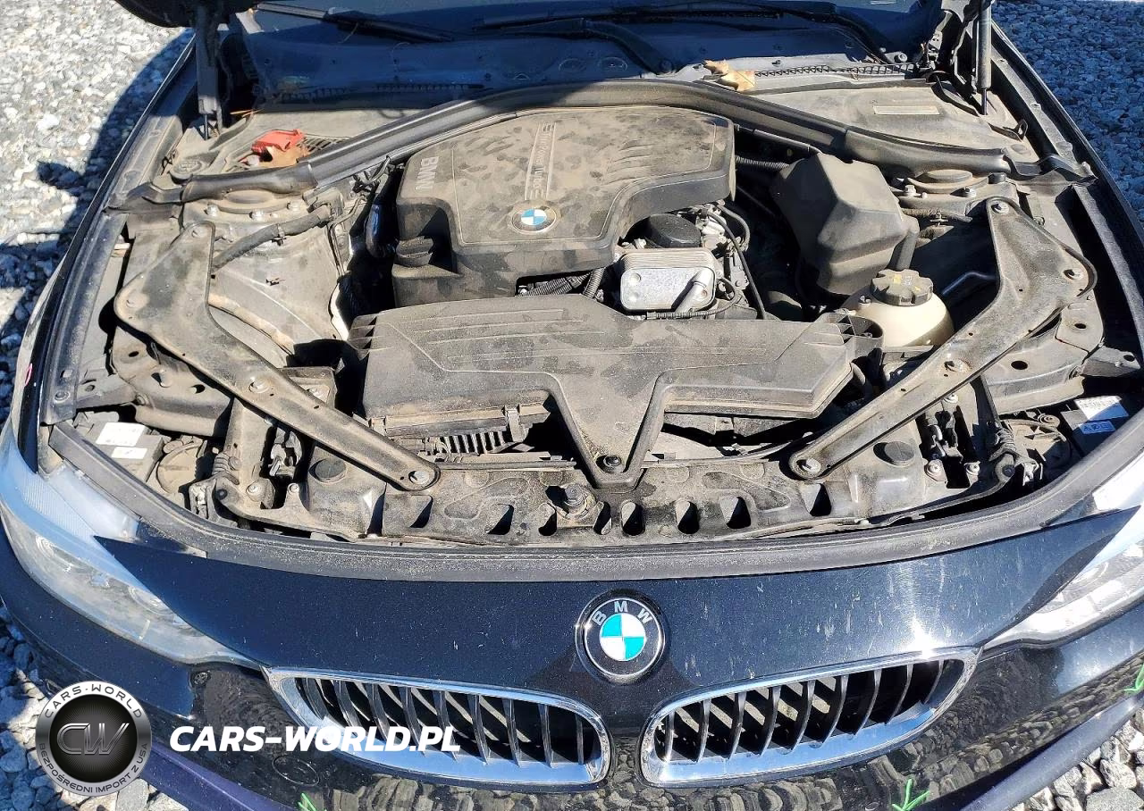 2016 BMW 428 I Sulev VIN:WBA3V7C57G5A26557 - 11