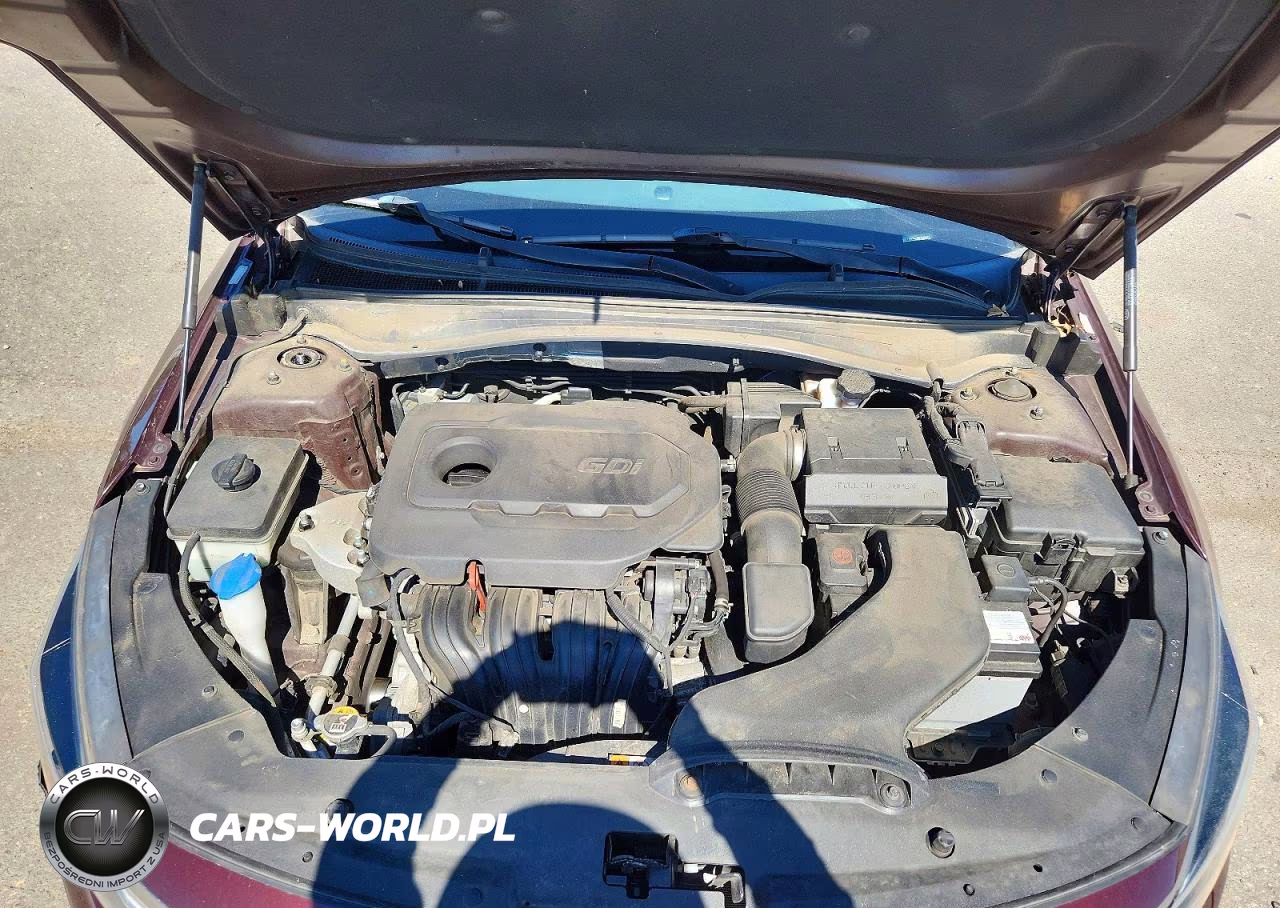 2019 Kia Optima Lx VIN:5XXGT4L30KG365041 - 9