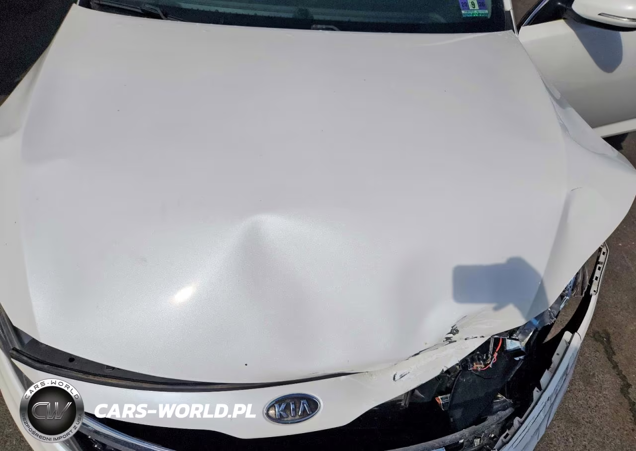 2011 Kia Optima Ex VIN:KNAGN4A75B5168948 - 11