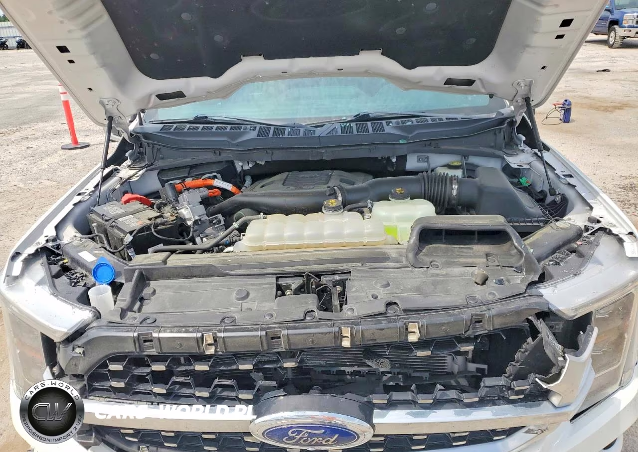 2022 Ford F150 Supercrew VIN:1FTFW1ED0NFB02719 - 11