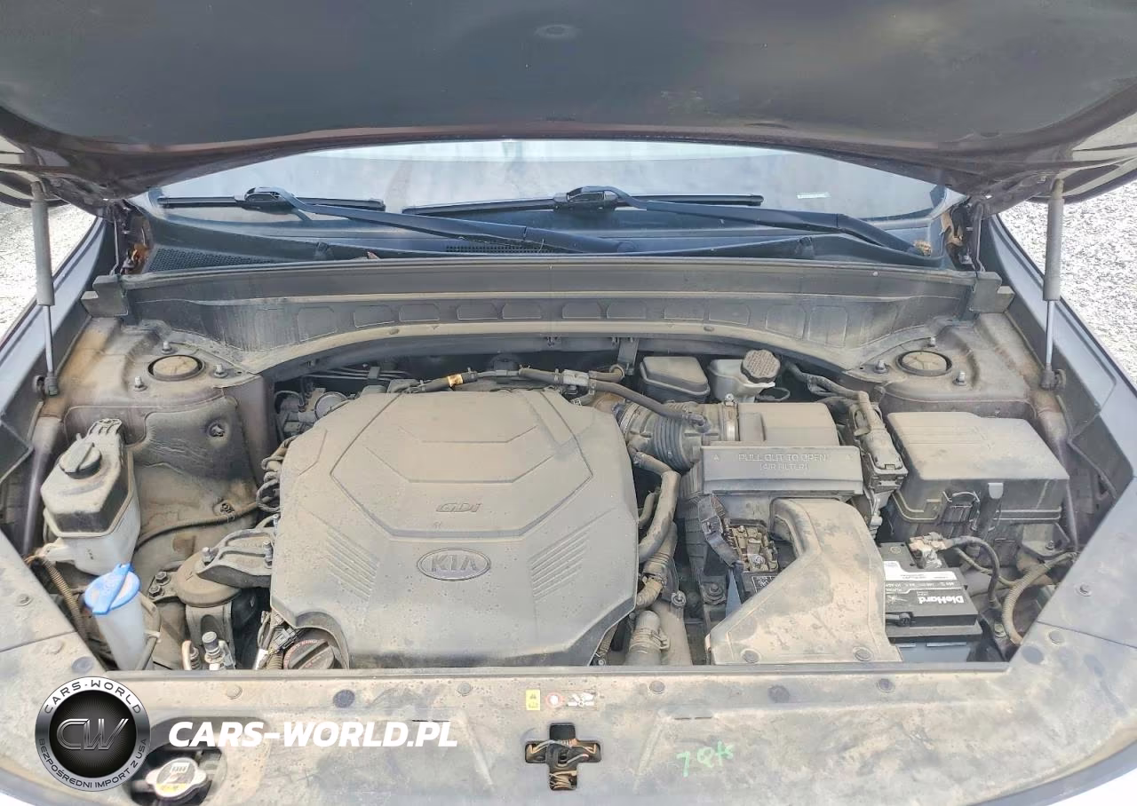 2020 Kia Telluride S VIN:5XYP64HC8LG013967 - 12