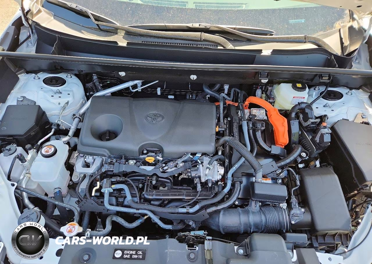 2025 Toyota Rav4 Hybrid Xle VIN:4T3RWRFV3SU211222 - 12