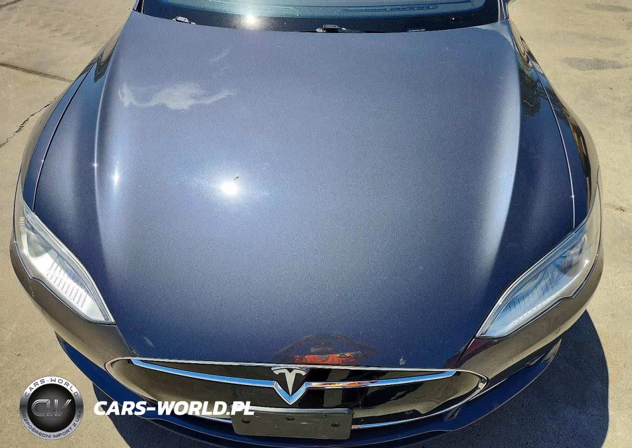 2015 Tesla Model S VIN:5YJSA1E29FF119696 - 11