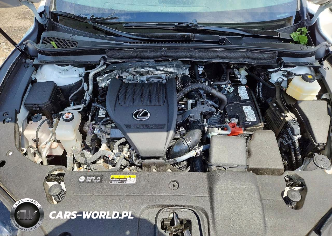 2025 Lexus Rx 350 Base VIN:2T2BAMCA7SC090463 - 12