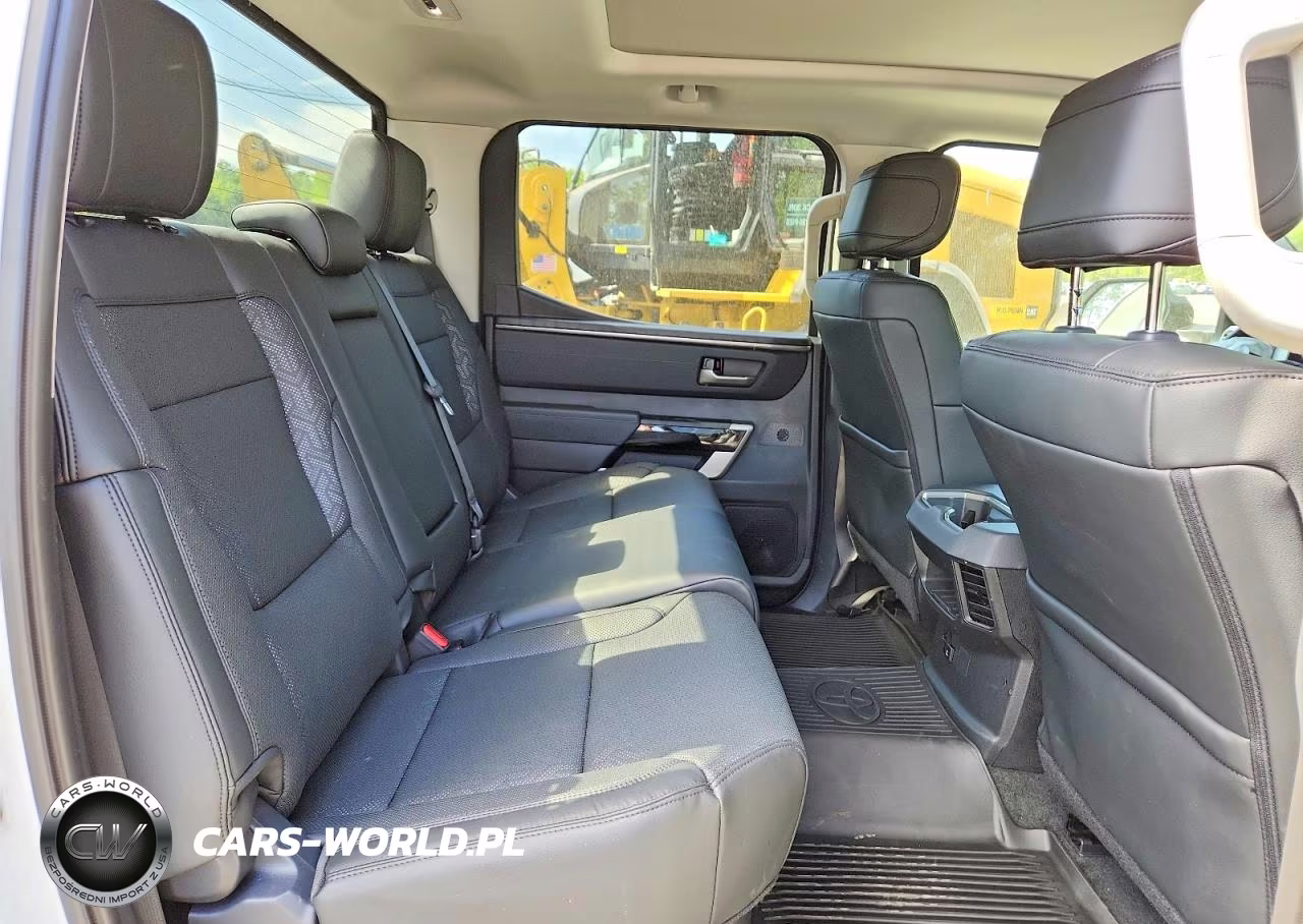 2023 Toyota Tundra Crewmax Limited VIN:5TFJC5DB8PX022186 - 10
