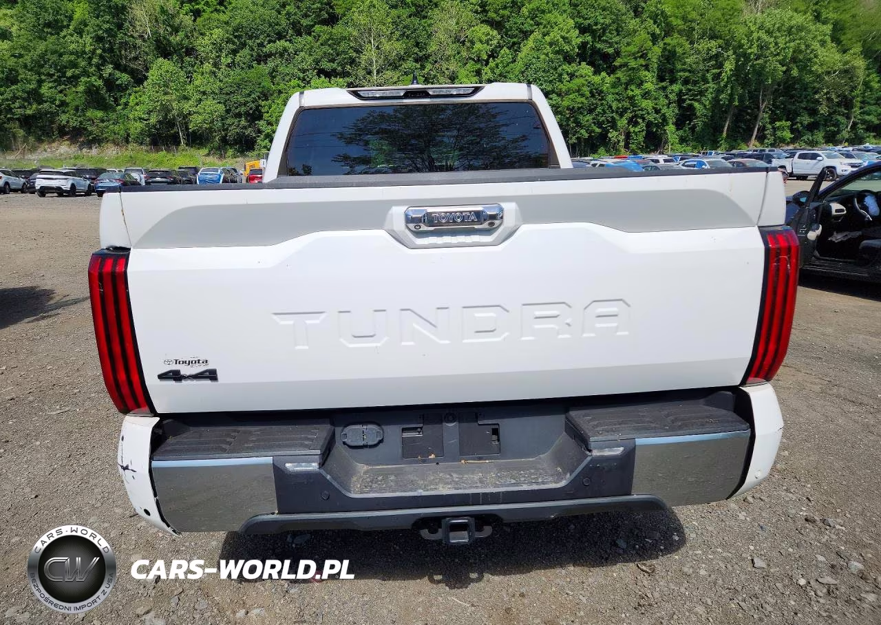2023 Toyota Tundra Crewmax Limited VIN:5TFJC5DB8PX022186 - 6