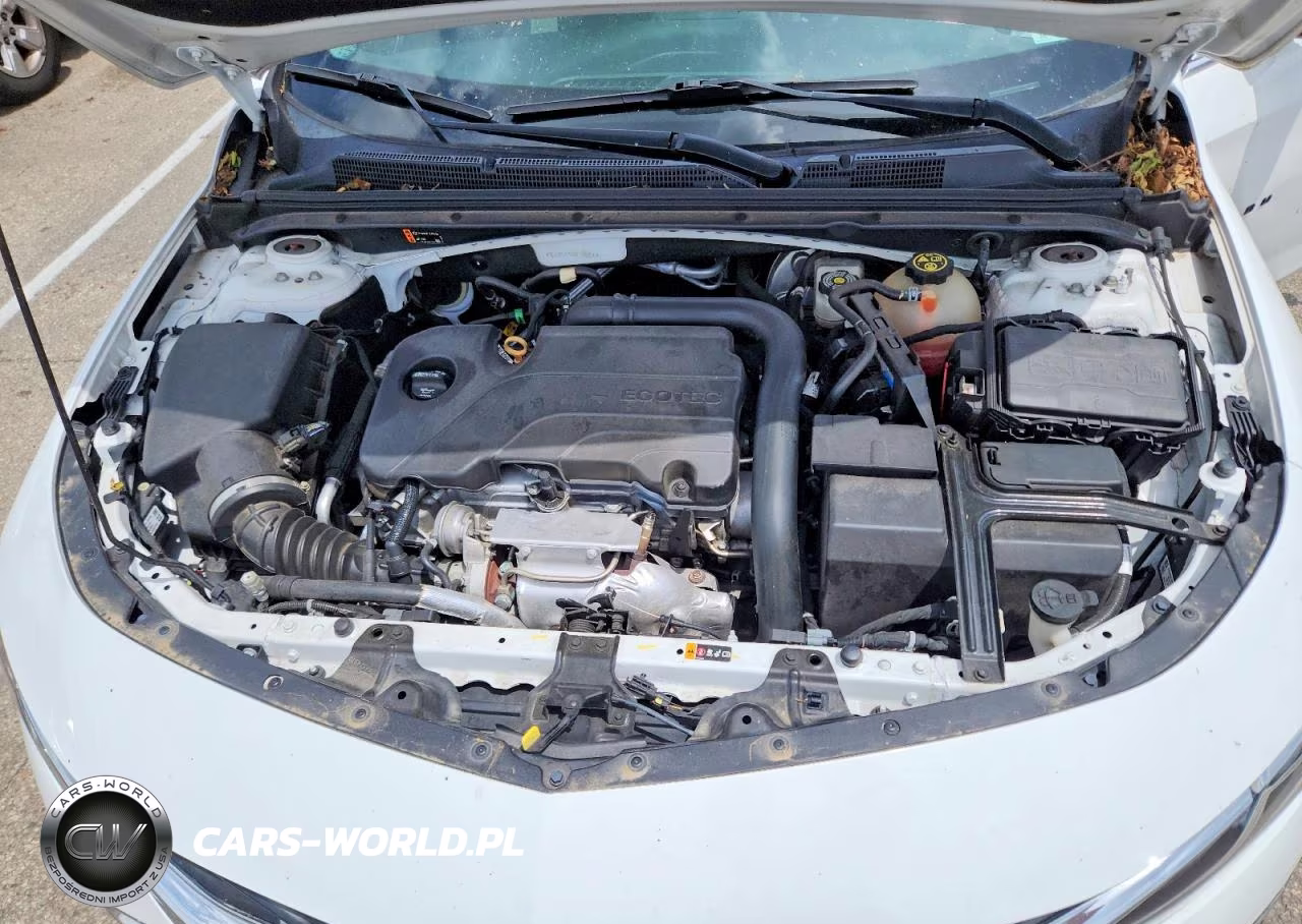 2019 Chevrolet Malibu Lt VIN:1G1ZD5ST2KF130256 - 11