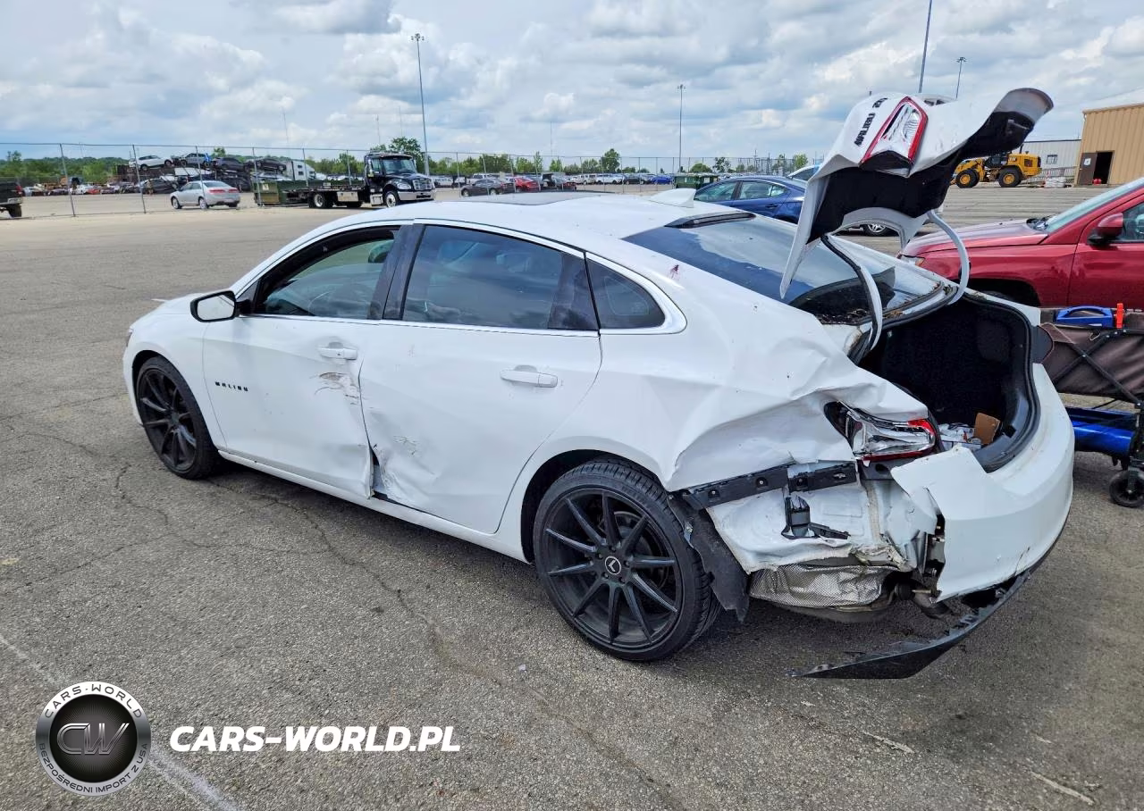 2019 Chevrolet Malibu Lt VIN:1G1ZD5ST2KF130256 - 2