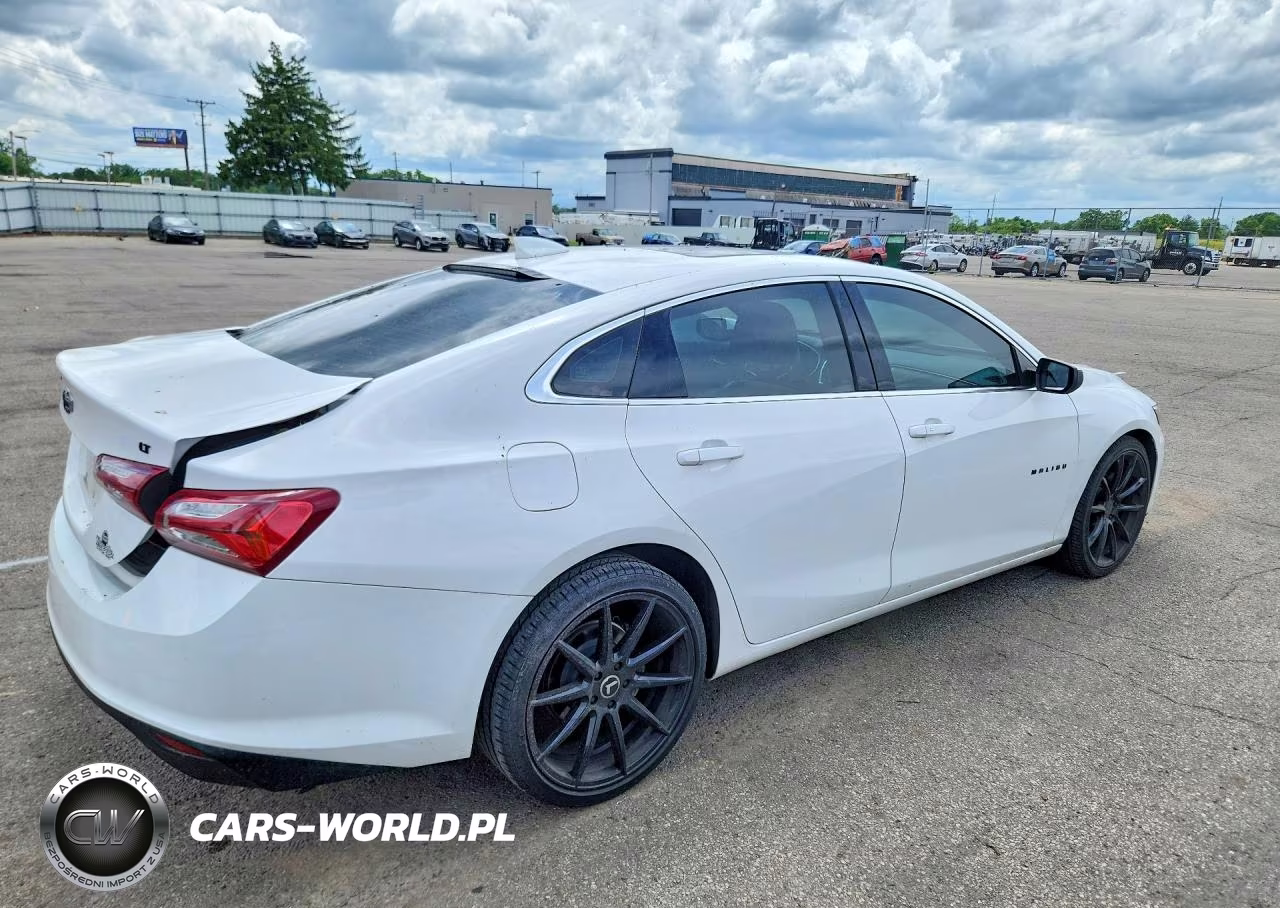 2019 Chevrolet Malibu Lt VIN:1G1ZD5ST2KF130256 - 3
