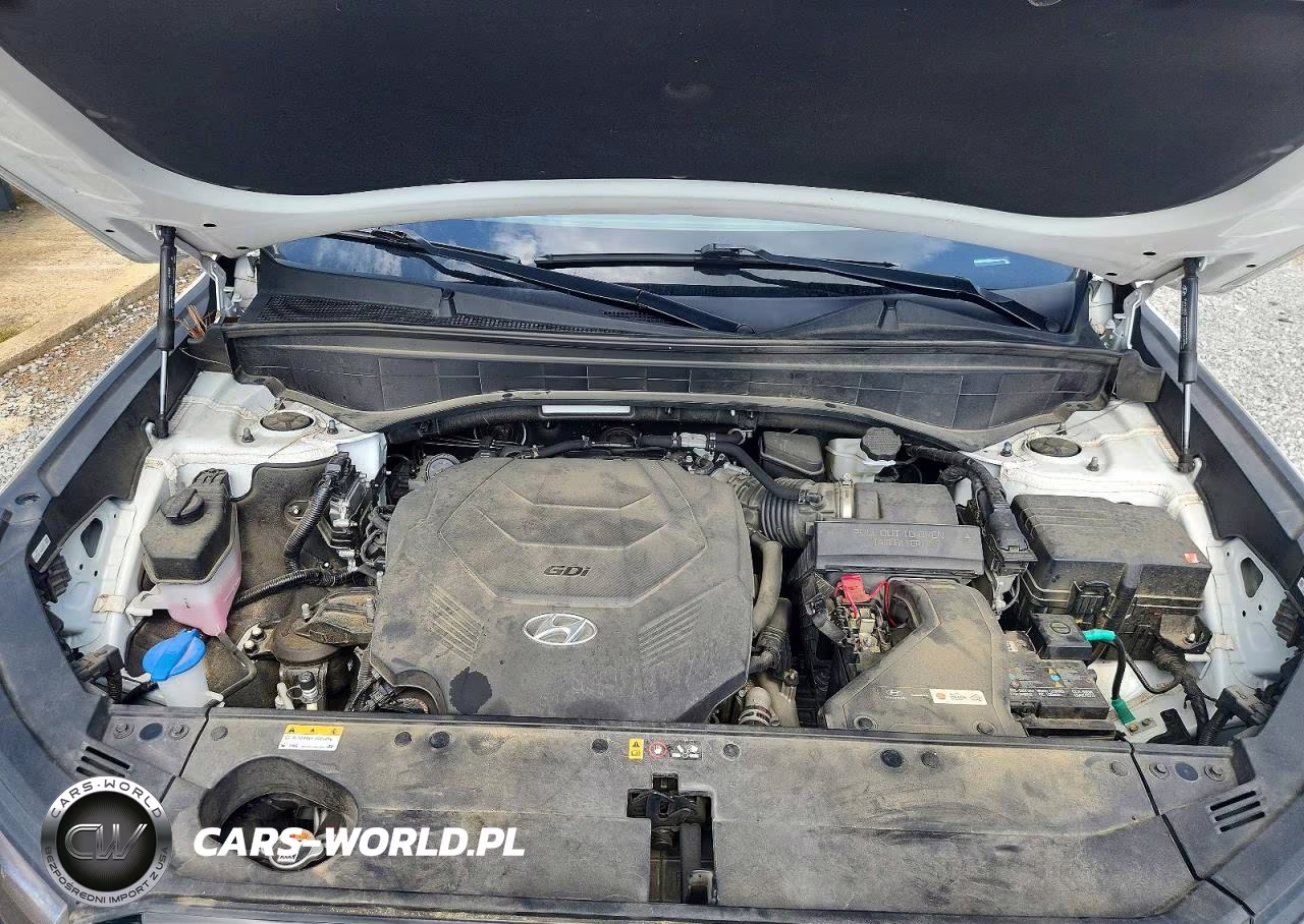 2024 Hyundai Palisade Xrt VIN:KM8R34GE3RU665936 - 11