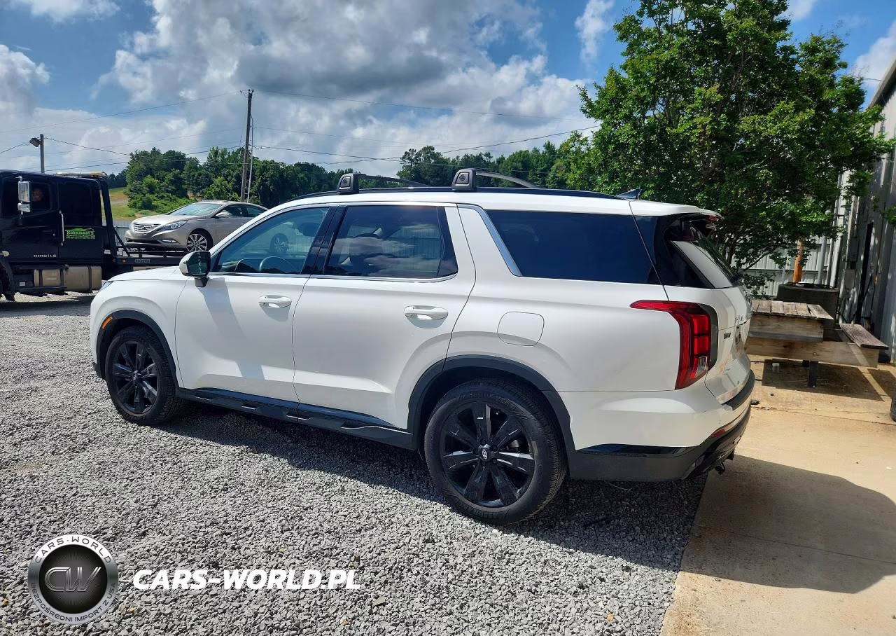 2024 Hyundai Palisade Xrt VIN:KM8R34GE3RU665936 - 2