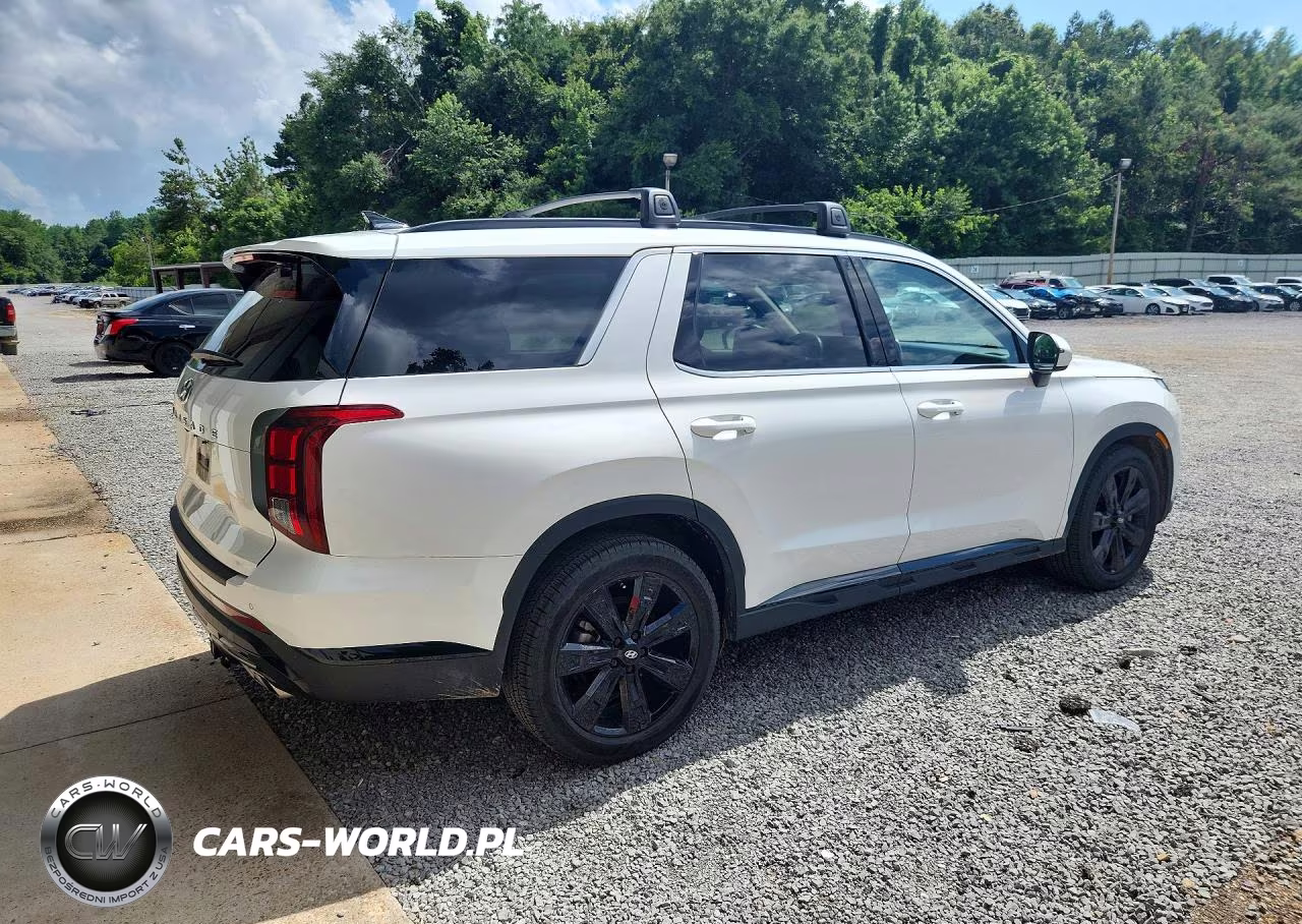 2024 Hyundai Palisade Xrt VIN:KM8R34GE3RU665936 - 3