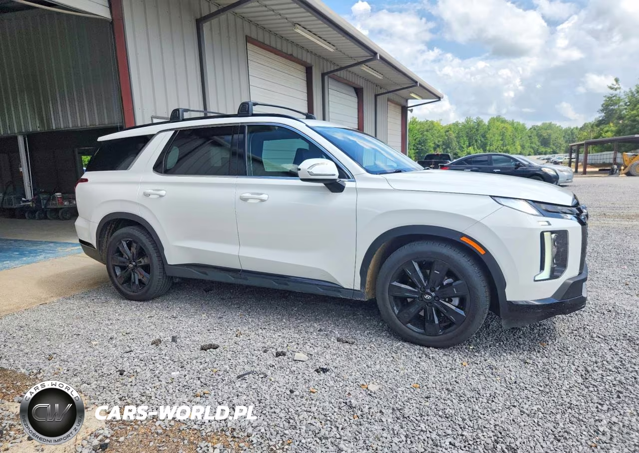 2024 Hyundai Palisade Xrt VIN:KM8R34GE3RU665936 - 4