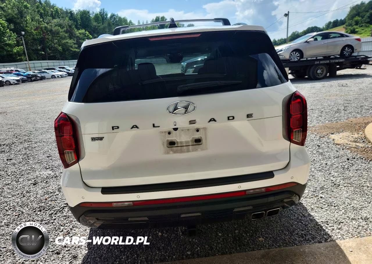 2024 Hyundai Palisade Xrt VIN:KM8R34GE3RU665936 - 6